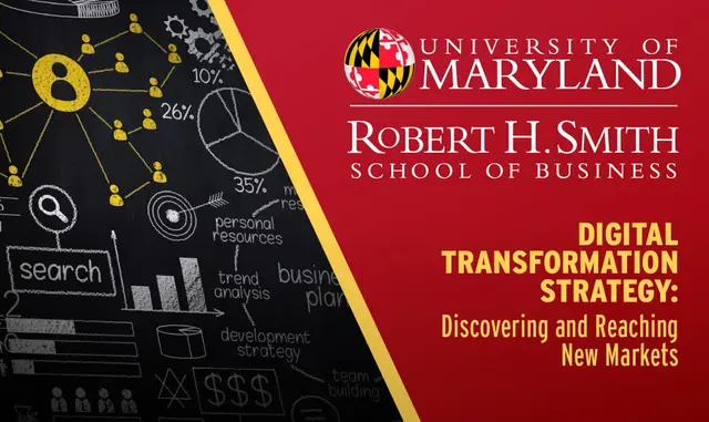 Digital Transformation Strategy: Discovering and Reaching New Markets