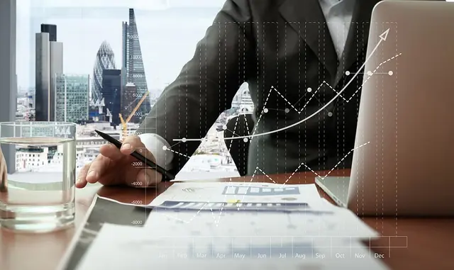 Principios de Economía aplicados a Negocios