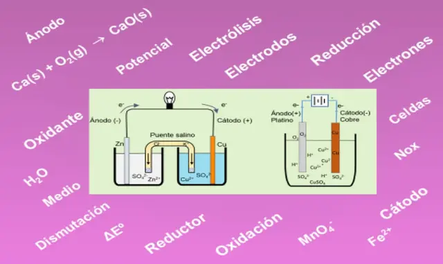 Reacciones de oxidación-reducción: conceptos básicos