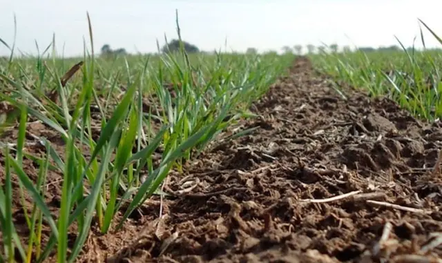 Siembra Directa: Contexto Histórico y Agricultura Certificada