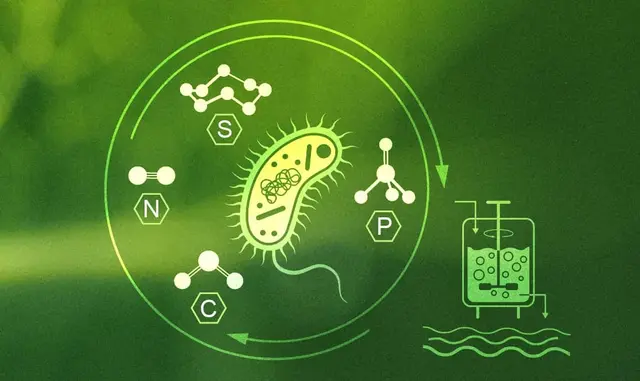 Environmental Biotechnology