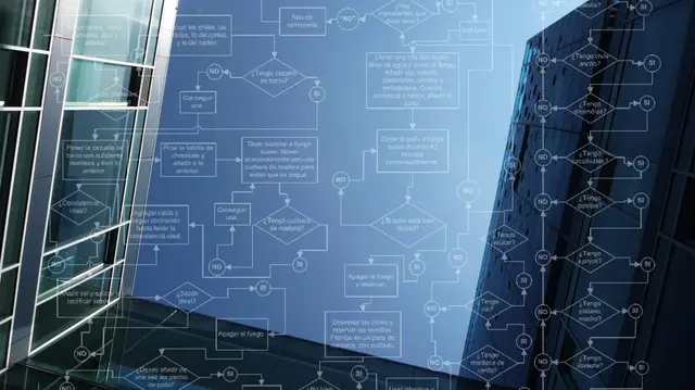 Fundamentos TIC para profesionales de negocios: Desarrollo de Software