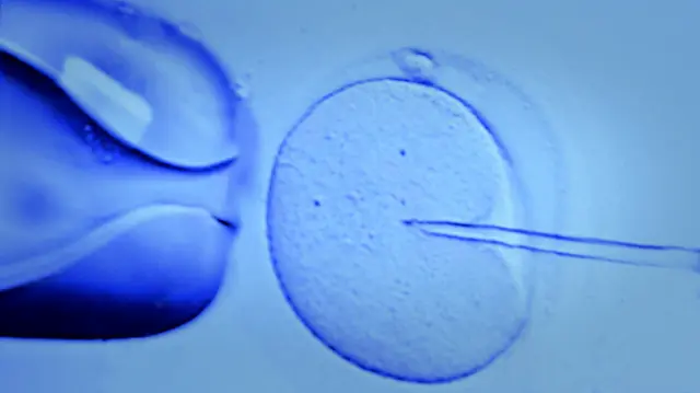 Bioethics: The Law, Medicine, and Ethics of Reproductive Technologies and Genetics