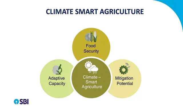 Climate Smart Agriculture