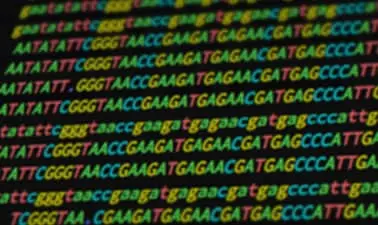 Statistical Inference and Modeling for High-throughput Experiments