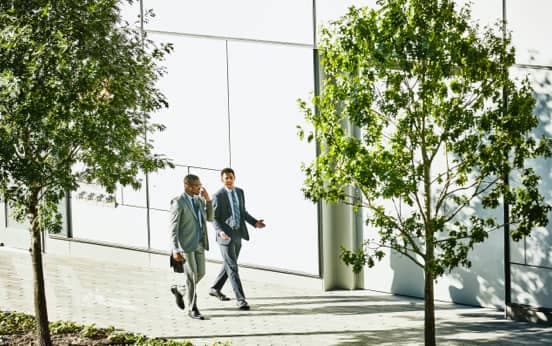 Leading Sustainable Corporations Programme