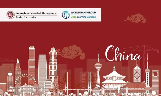 Development in Emerging Economies: The Case of China