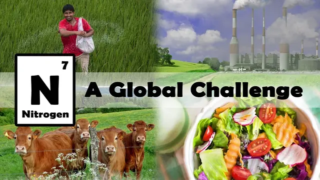 Nitrogen: A Global Challenge