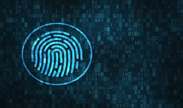 Cybersecurity Basics: Tools and Cyberattacks