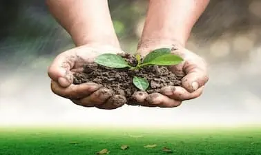 Sustainable Soil Management: Soil for life