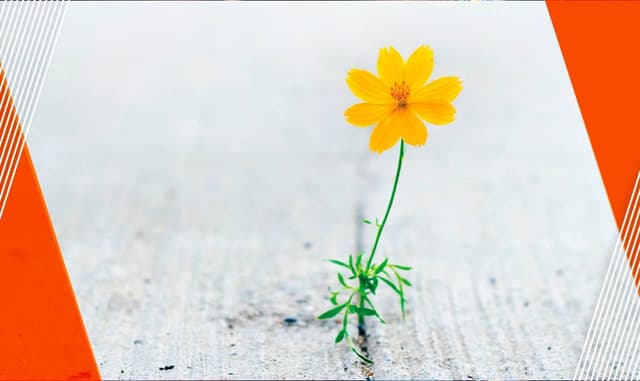 Resiliencia Familiar