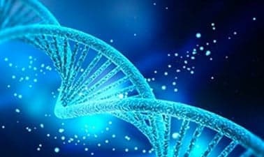 AP® Biology - Part 3: Evolution and Diversity