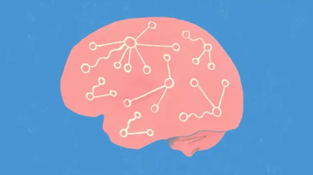 Fundamentals of Neuroscience, Part 3: The Brain