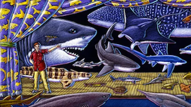 Sharks!