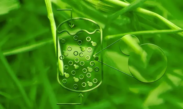 Industrial Fermentation
