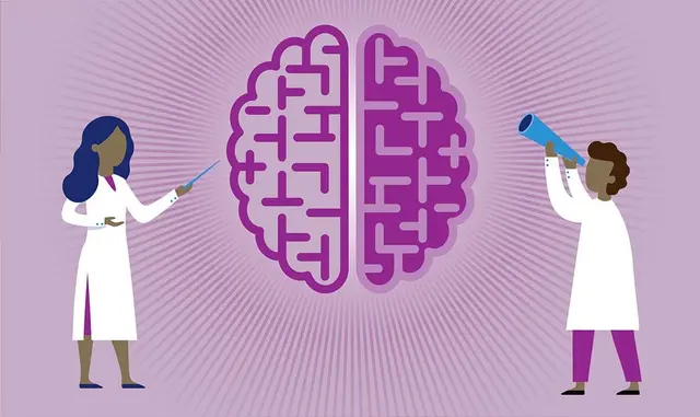 Behavioral Neuroscience: Advanced Insights from Mouse Models