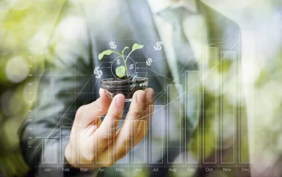 Business Sustainability Strategy: Technology and Management