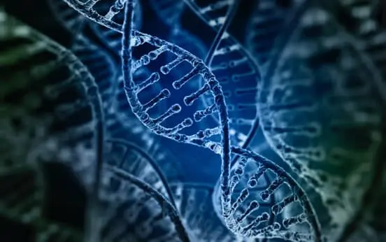 CRISPR: Gene-editing Applications