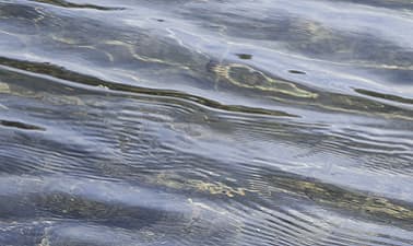 Water Management