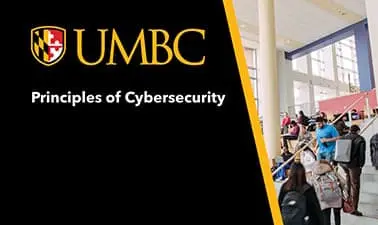 Principles of Cybersecurity