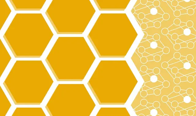 Data Structures and Algorithms