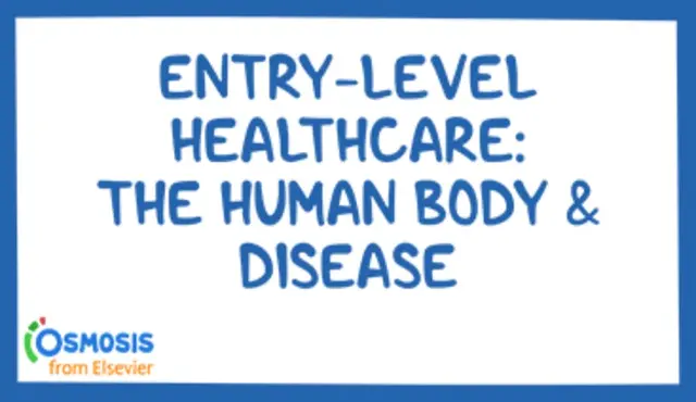 Entry-Level Healthcare: The Human Body and Disease