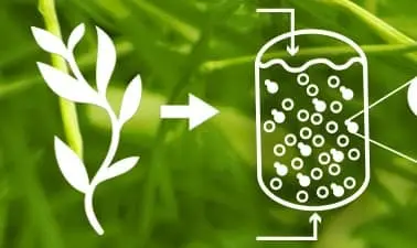 Industrial Biotechnology and Industrial Fermentation