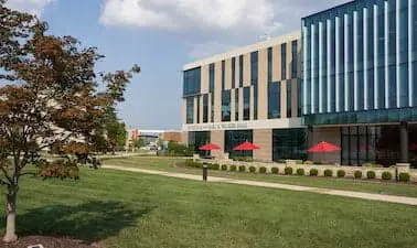 Bachelor of Science in Sustainability