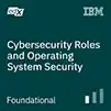 Cybersecurity Roles and Operating System Security