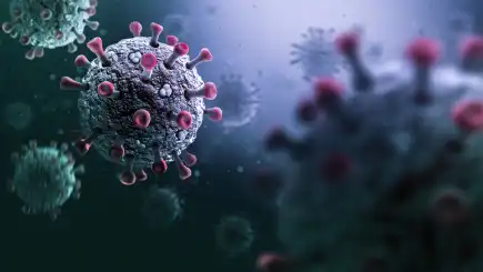Viruses | Introduction Image