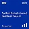 Applied Deep Learning Capstone Project