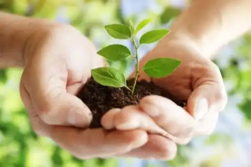 Aprende desarrollo sostenible