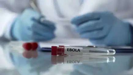 Ebola | Introduction Image