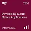 Developing Cloud Native Applications